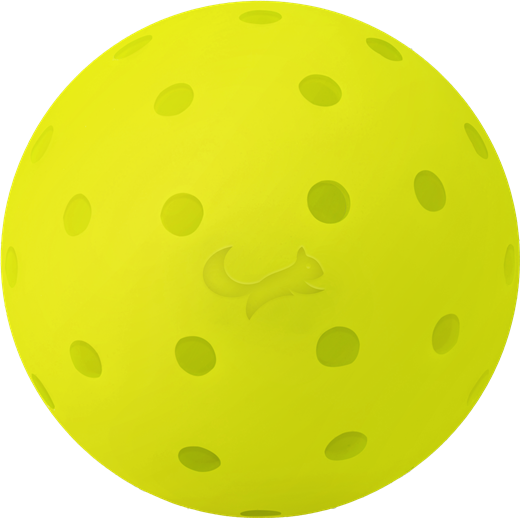 Zocker ZB0248 Pickleball Balls – 3-Ball Pack (48 Holes)