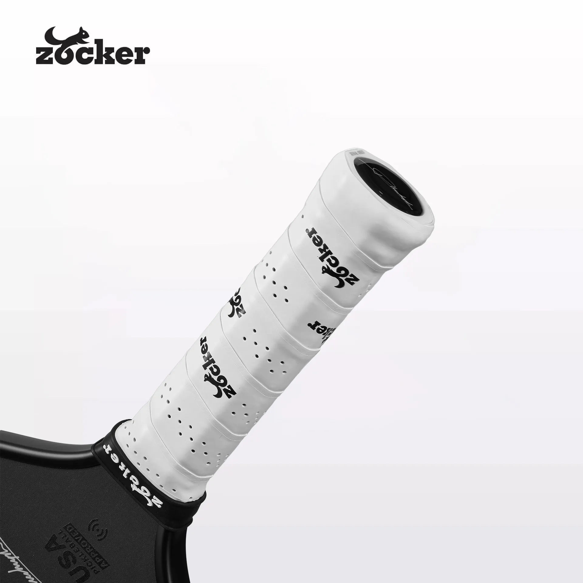 vot-pickleball-Zocker-Aspire-den-5